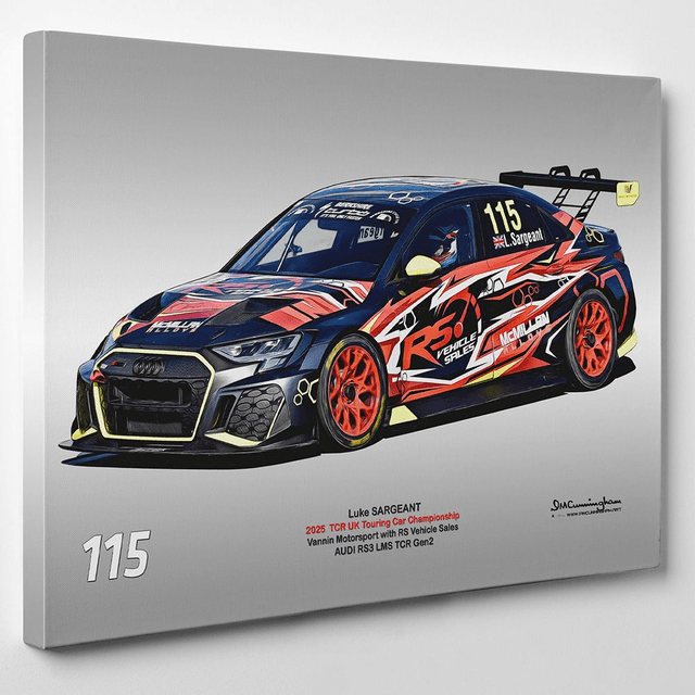 C250410 Audi RS3 LMS TCRUK 25 Vannin Motorsport #115 Luke Sargeant DNPK _ICA8156